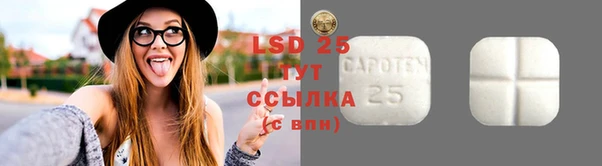 стаф Козловка
