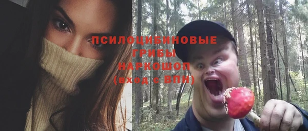 тгк Алексин