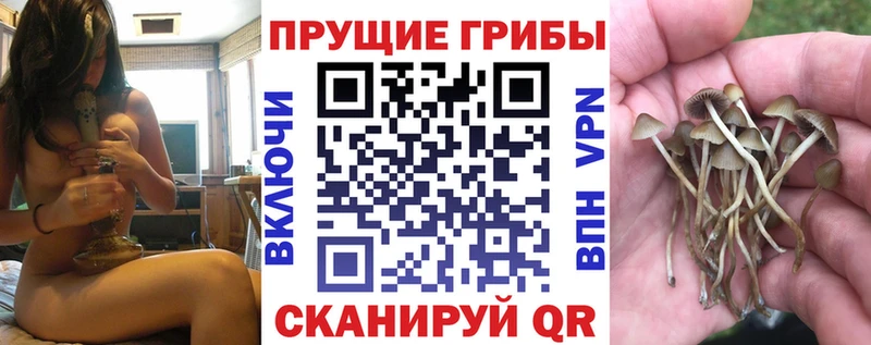 Псилоцибиновые грибы мухоморы  где купить наркотик  Алушта 