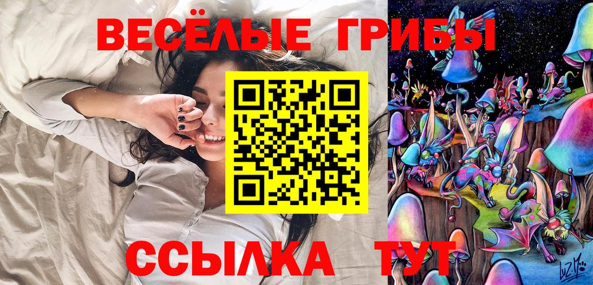 Галлюциногенные грибы GOLDEN TEACHER  Вход с VPN  Псилоцибиновые грибы MAGIC MUSHROOMS  Алушта 